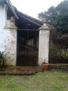 13173908_10154147455121462_5357427535777363350_n